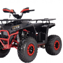KVADRACIKLS CFORCE PRO