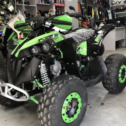 ATV Fourcraft 1000 W