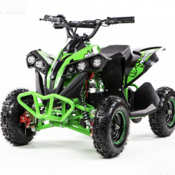 ATV Renegade 1000 Watt