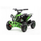 kvadracikls ATV Renegade 1000 Watt pro