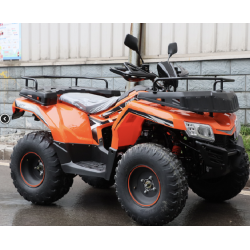 kvadracikls Atv  Raptor  250 pro 