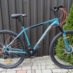 Diskavery  R29