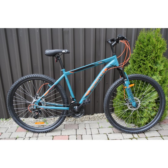 Diskavery  R29