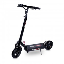 beaster 1000 w 