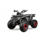 ATV 125 Qiablo Fourcraft  pro