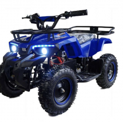 ATV 1000 W avenger pro