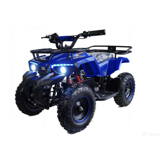 ATV 1000 Watt avenger pro