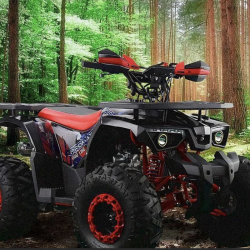 ATV 125  Hardy II pro line 