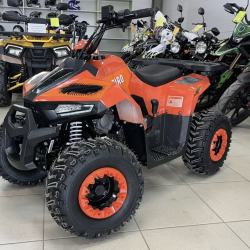 kvadracikls Atv 125 classic pro