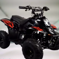 kvadracikli ATV 1000/2024