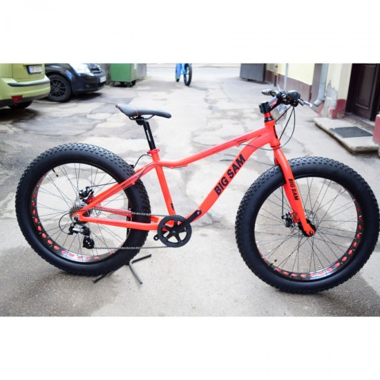 Fat Bike  X