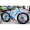 Fat Bike 