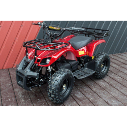 kvadracikls ATV 1000W QATW