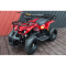 kvadracikls ATV 1000W QATW