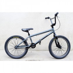 Bmx GRUNBERG 2019 3D