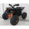 ATV 1000W QATW