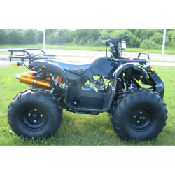 ATV 125 Sport QWMOTO 2026