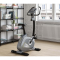 Kettler Avior M (2021)