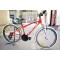 Sprint Apolon xc