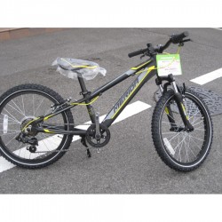 pusaudžu velosipēds Merida J20 