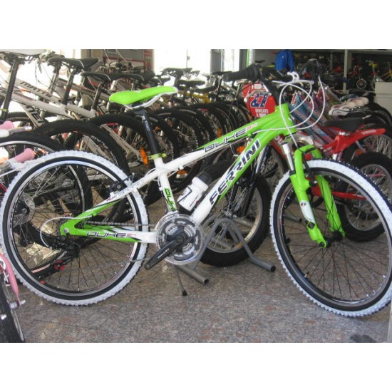 velosipēds Ferrini Duke 18" 20 " 