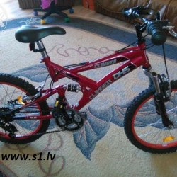 CLIMBER 24 DHS