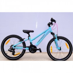 Merida J20