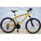 Kross Hexagon X2