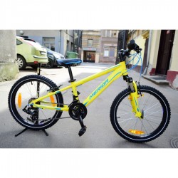 Merida matts J20 