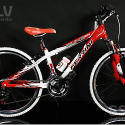Ferrini Duke R24 